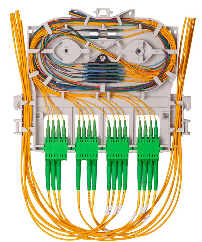 An image of Dreelio's dashboard